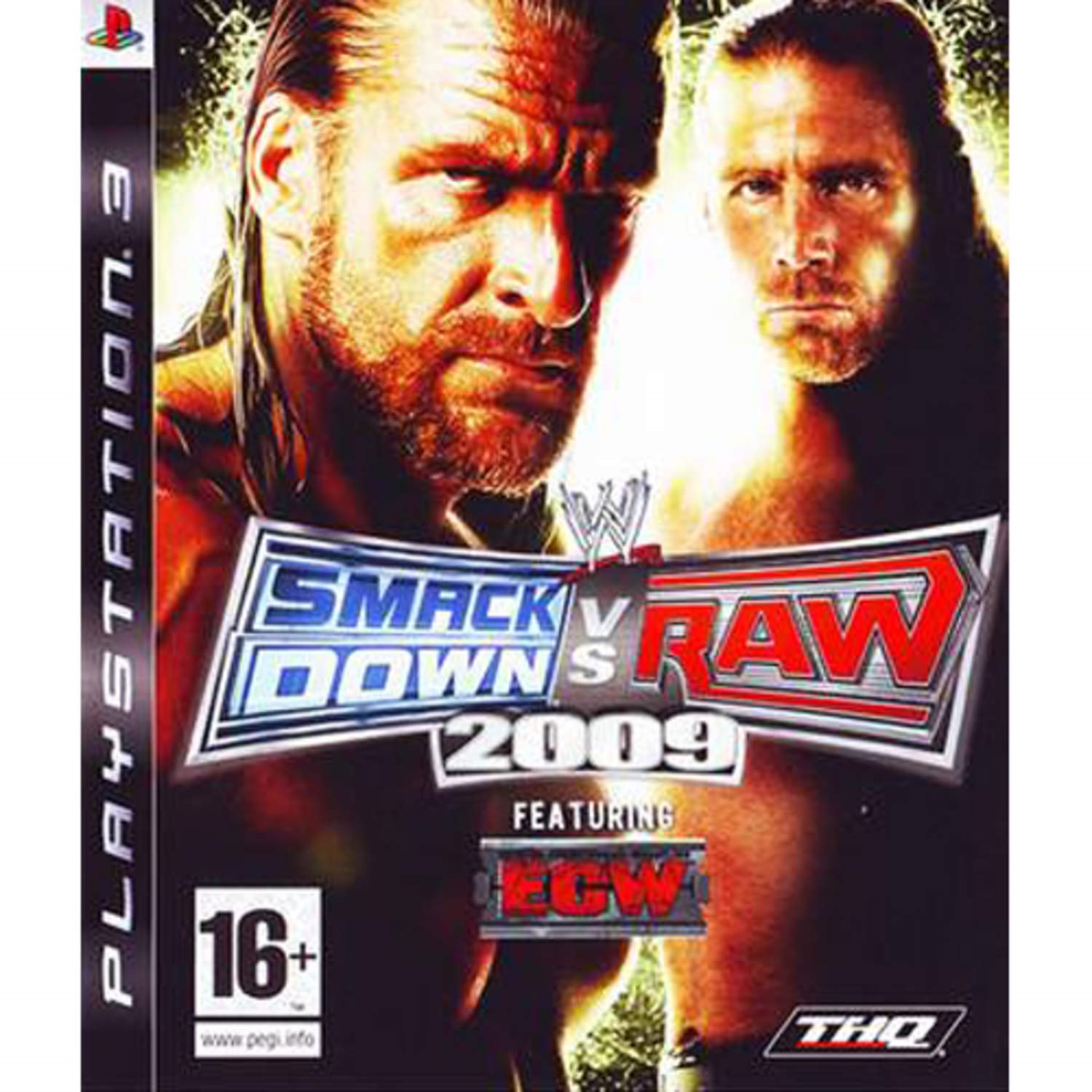 Smack Down VS Raw 2009 featuring ECW Steelbook