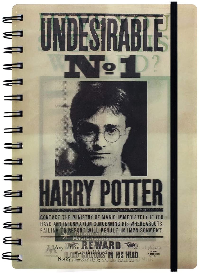 Harry Potter (Sirius and Harry) A5 Notebook (jegyzetfüzet)