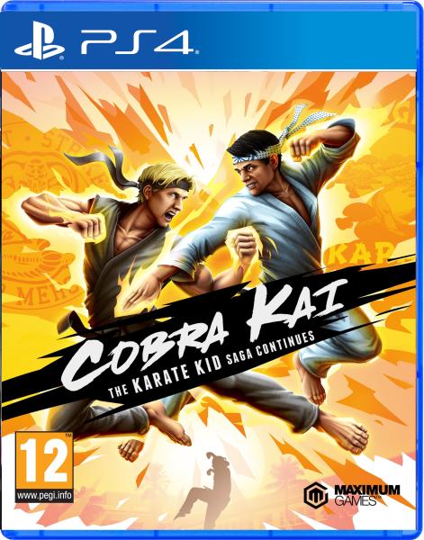 Cobra Kai The Karate Kid Saga Continues