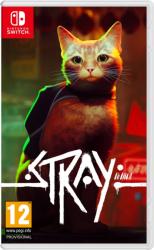 Stray