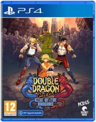 Double Dragon Gaiden Rise of the Dragons - PlayStation 4 Játékok